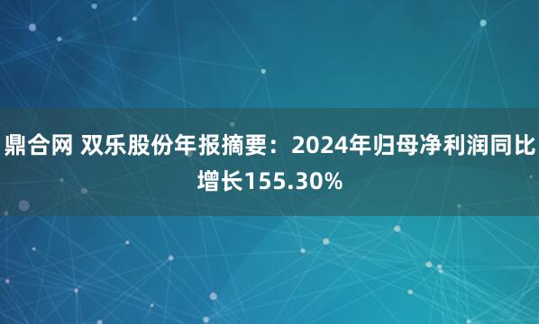 鼎合网 双乐股份年报摘要：2024年归母净利润同比增长155.30%