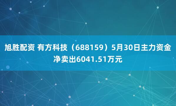 旭胜配资 有方科技（688159）5月30日主力资金净卖出6041.51万元