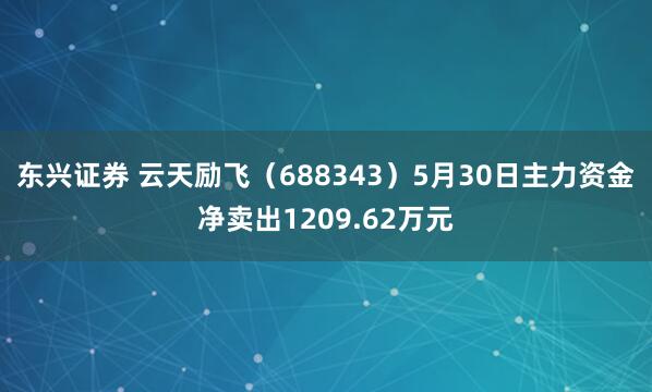 东兴证券 云天励飞（688343）5月30日主力资金净卖出1209.62万元