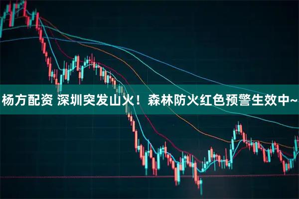 杨方配资 深圳突发山火！森林防火红色预警生效中~